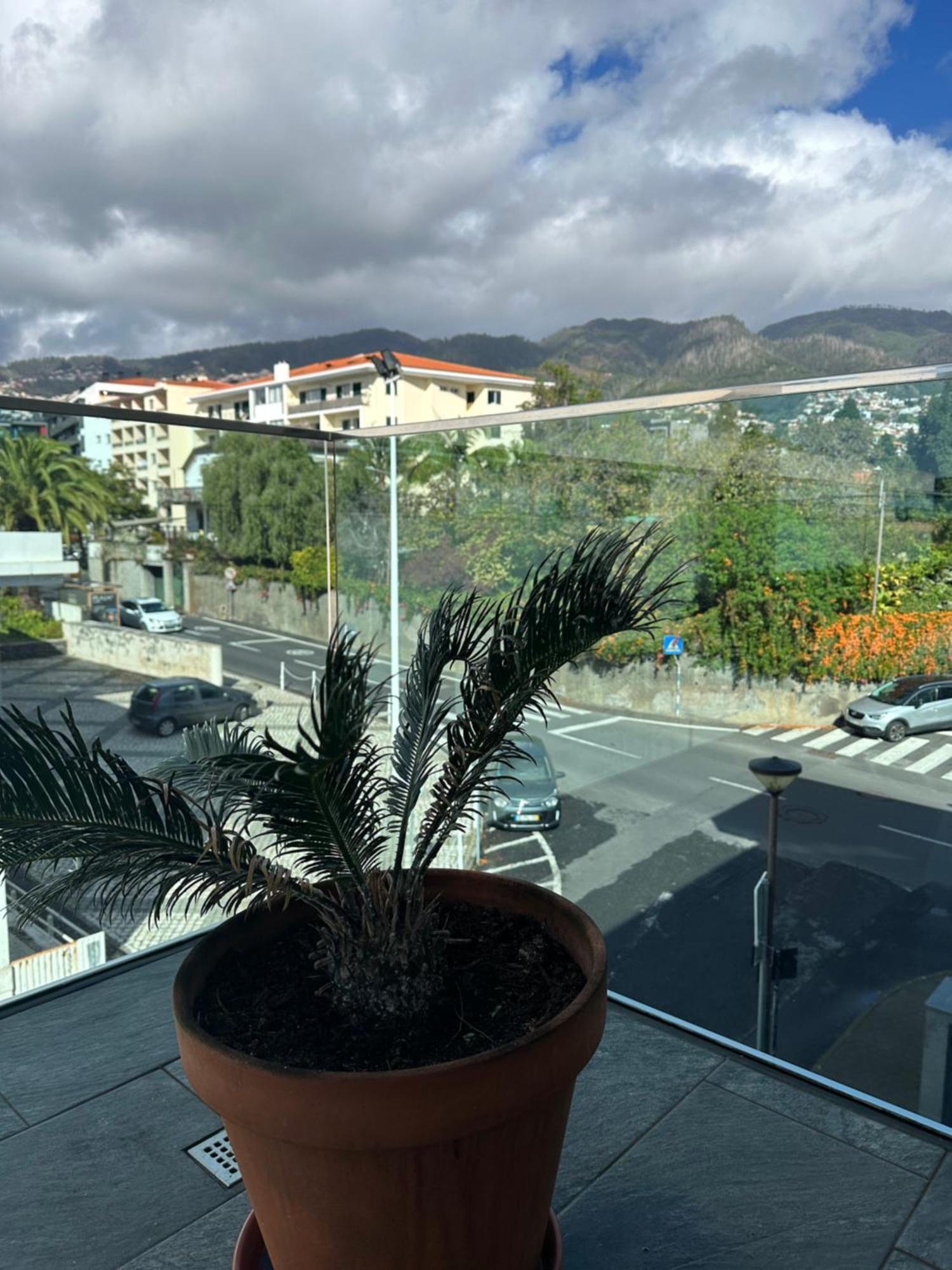 Raphael Funchal Views Apartment Dış mekan fotoğraf